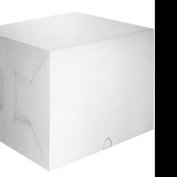 CAJA BLANCA PADI PASTEL MED. PM 35X27X9CM. JGOE10